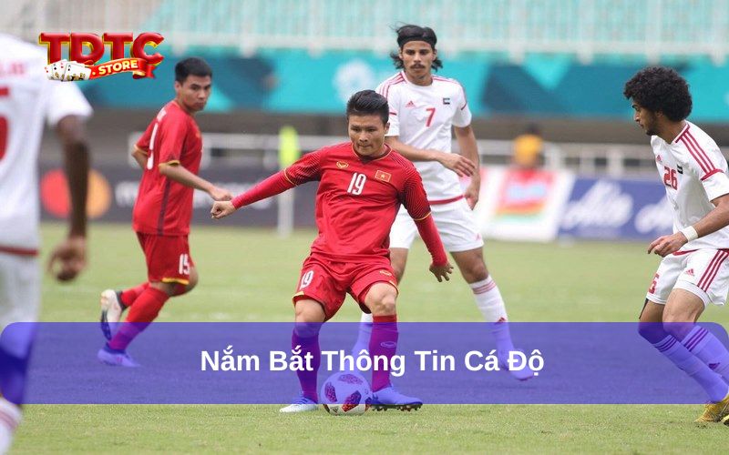 Các loại kèo việt vị TDTC phổ biến cần nắm khi cá cược 3 Tổng hợp thông tin bắt kèo chuẩn