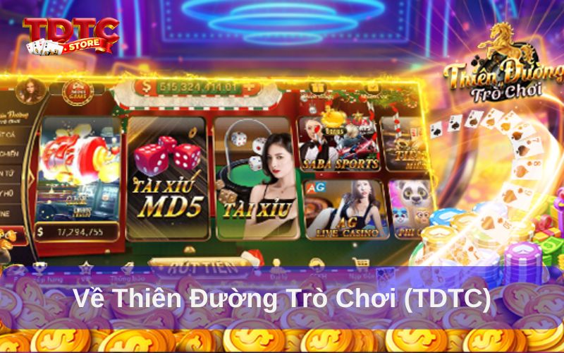 Về Thiên Đường Trò Chơi (TDTC)