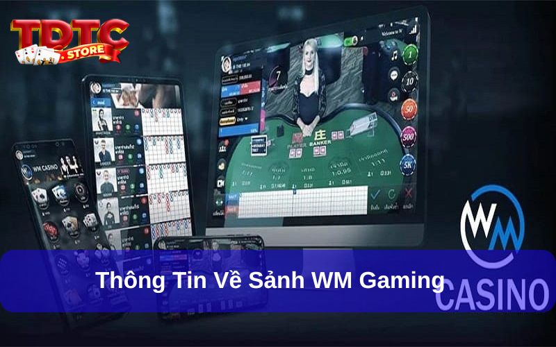 WM Gaming - Khám Phá Không Gian Giải Trí Casino Đỉnh Cao 1 WM Gaming là sảnh casino chưa bao giờ hết hot